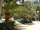 Botanischer Garten Paseo Parque Malaga Spanien 2515_11