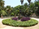 Botanischer Garten Paseo Parque Malaga Spanien 2515_17