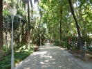 Botanischer Garten Paseo Parque Malaga Spanien 2515_19