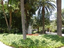 Botanischer Garten Paseo Parque Malaga Spanien 2515