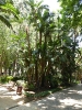 Botanischer Garten Paseo Parque Malaga Spanien 2515_20