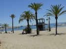 Playa Nueva Andalucia Marbella Malaga Spanien 2515_14
