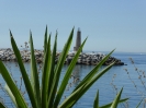 Puerto Deportivo Jose Banus Marbella Malaga Spanien 2515_11