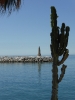 Puerto Deportivo Jose Banus Marbella Malaga Spanien 2515_17