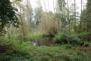 Tegler Fließ10.13_54