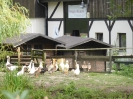 Freizeit und Erholungspark Lübars 3517_14