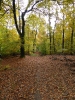 Tegler Forst10.13_08