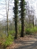 Steinbergsee