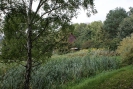 Wittenau