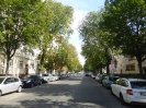 Wittenau