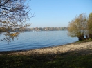 Grunewald