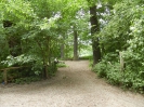 Grunewaldsee_13