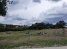 Görlitzer Park 3920_09