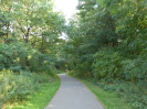Lichtenberg