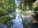 Tiergarten