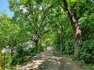 Gropiusstadt