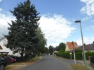 Karow