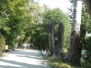Park am Weißensee 3616_12
