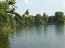 Weißensee