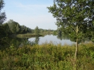 Spandauer Forst_02