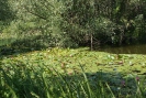 Im Südpark Spandau_07