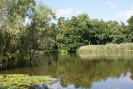 Im Südpark Spandau_08