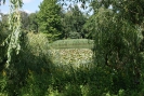 Im Südpark Spandau_09