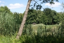 Wasserstrassen und Natur Spandau