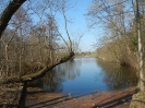 Rohrbruchteich Spandau Berlin