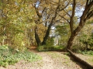 Rundweg Scharfe Lanke Spandau_08