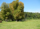 Wasserstadt Spandau_02
