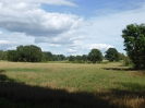 Gatower Heide