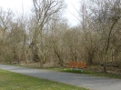 Haselhorst