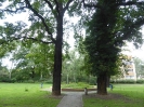 Großsiedlung Siemensstadt 2917_13