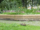Großsiedlung Siemensstadt