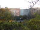 Staaken