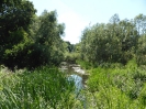 Tiefwerder Wiesen 3115