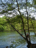Krumme Lanke Berlin Zehlendorf_05