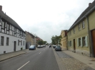 Radweg Schönebeck-Dessau 1518_10