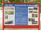 Elbprommenade Schönebeck 1518_06