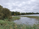 Tollensesee 4120_09