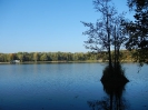 Nymphensee