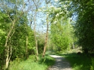 BMX MTB Trail Anlage 1518_03