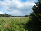 Falkenhagener und Neuer See Falkensee_03