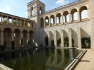 Schloss Belvedere Potsdam 3316_06