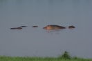 Tsavo Ost Nationalpark