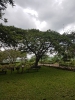 Tsavo West Nationalpark