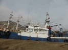 Fischereihafen Agadir 3816_02