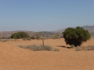 Mini Sahara südlich von Agadier 3816_03
