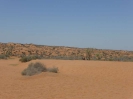 Mini Sahara südlich von Agadier 3816_04